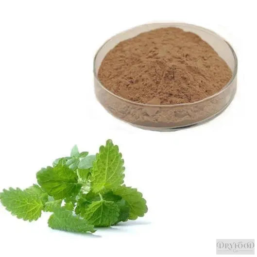 Close-up of lemon balm extract powder highlighting its vibrant green color and fine texture, ideal for calming teas and tinctures