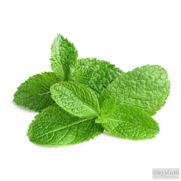 Melissa officinalis extract powder with a focus on its calming properties, suitable for promoting restful sleep and easing digestion