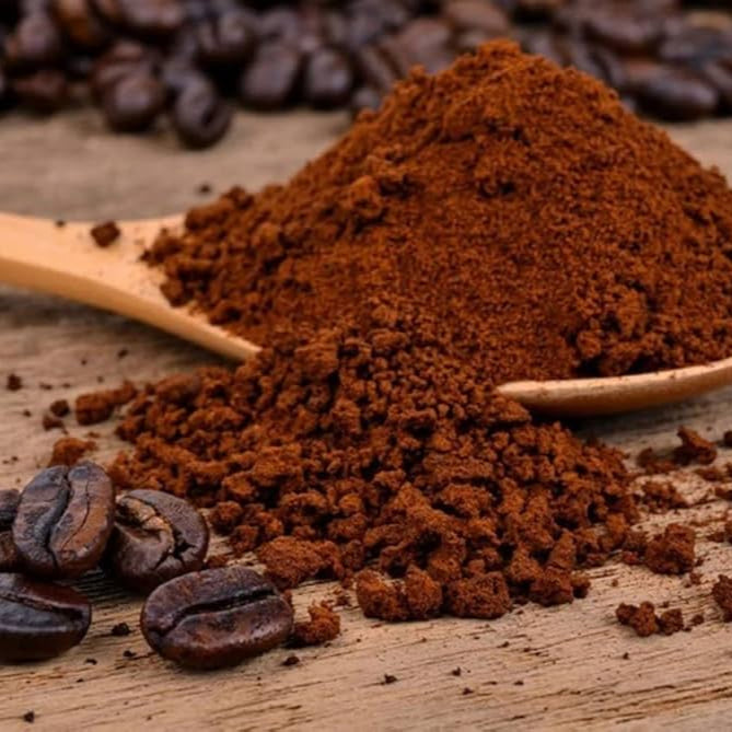Chicory Powder – Cichorium intybus