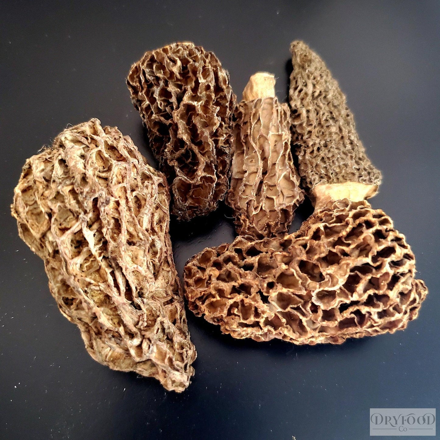 Dehydrated Morel Mushroom - Morchella esculenta