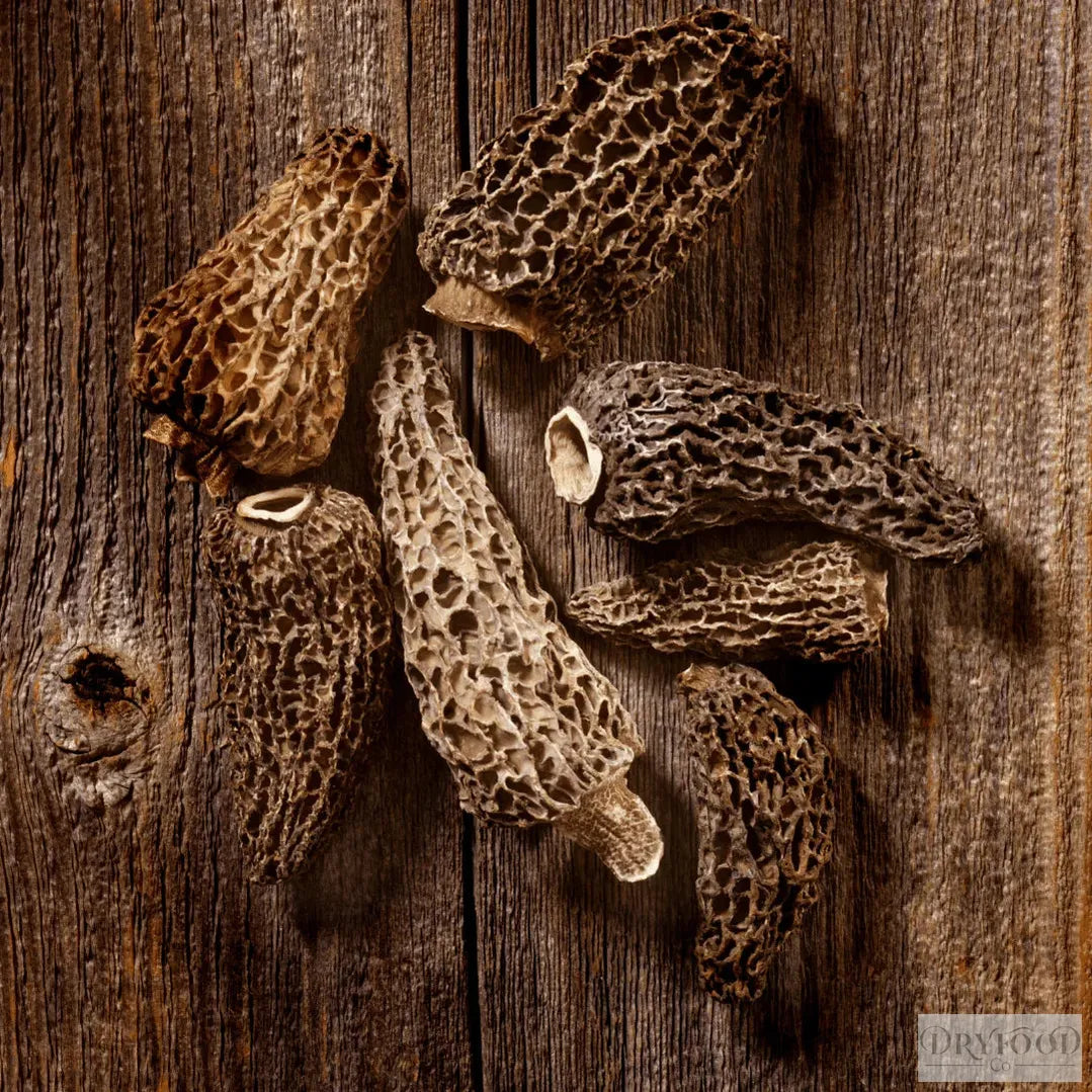 Dehydrated Morel Mushroom - Morchella esculenta