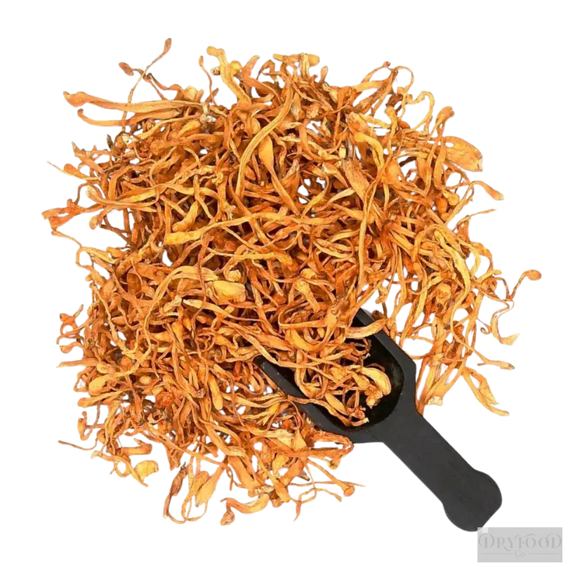 Dried Cordyceps Mushroom - Cordyceps militaris
