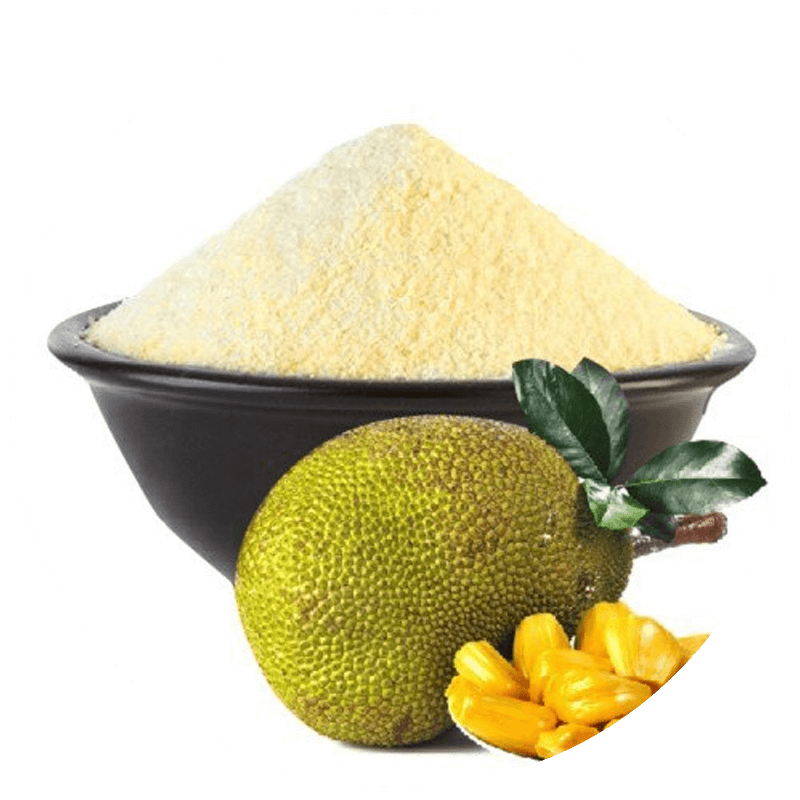 Jackfruit (Ripe) Powder – Artocarpus heterophyllus