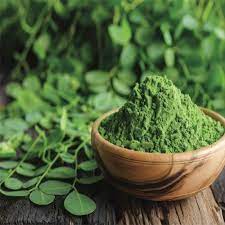 Dehydriertes Moringa-Pulver - Moringa oleifera