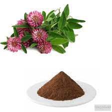 Close-up of red clover extract capsules and dried flowers emphasizing plant-based health products