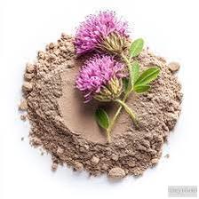 Rich red clover extract in amber glass bottles highlighting natural herbal supplements