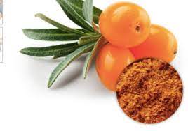 Organic Seabuckthorn Extract Powder made from Hippophae rhamnoides berries