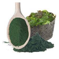 Spirulina Platensis Extract Powder, also known as स्पाइरुलिना (Hindi) and Spiruline (French), an ideal natural blue colorant with 60% plant protein and native phycocyanin pigment, suitable for smoothie boosters and protein bars