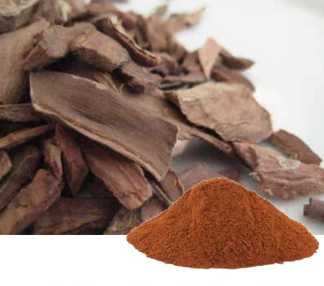 Terminalia arjuna extract powder, delivering polyphenolic tannins and natural plant sterols