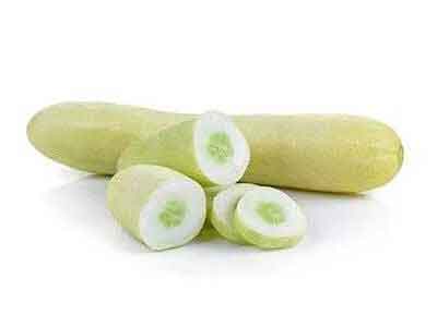 Cucumber White-Green Powder - Cucumis sativus.