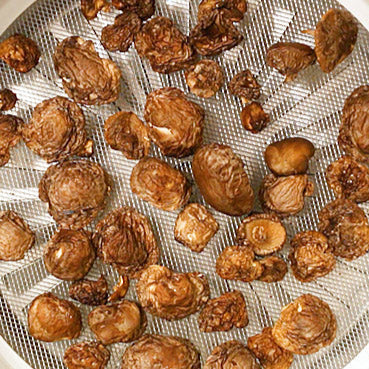 Dehydrated Button Mushrooms - Dryfood Co