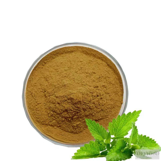 Fresh Melissa officinalis (Lemon Balm) leaf extract powder showing green, finely ground plant material