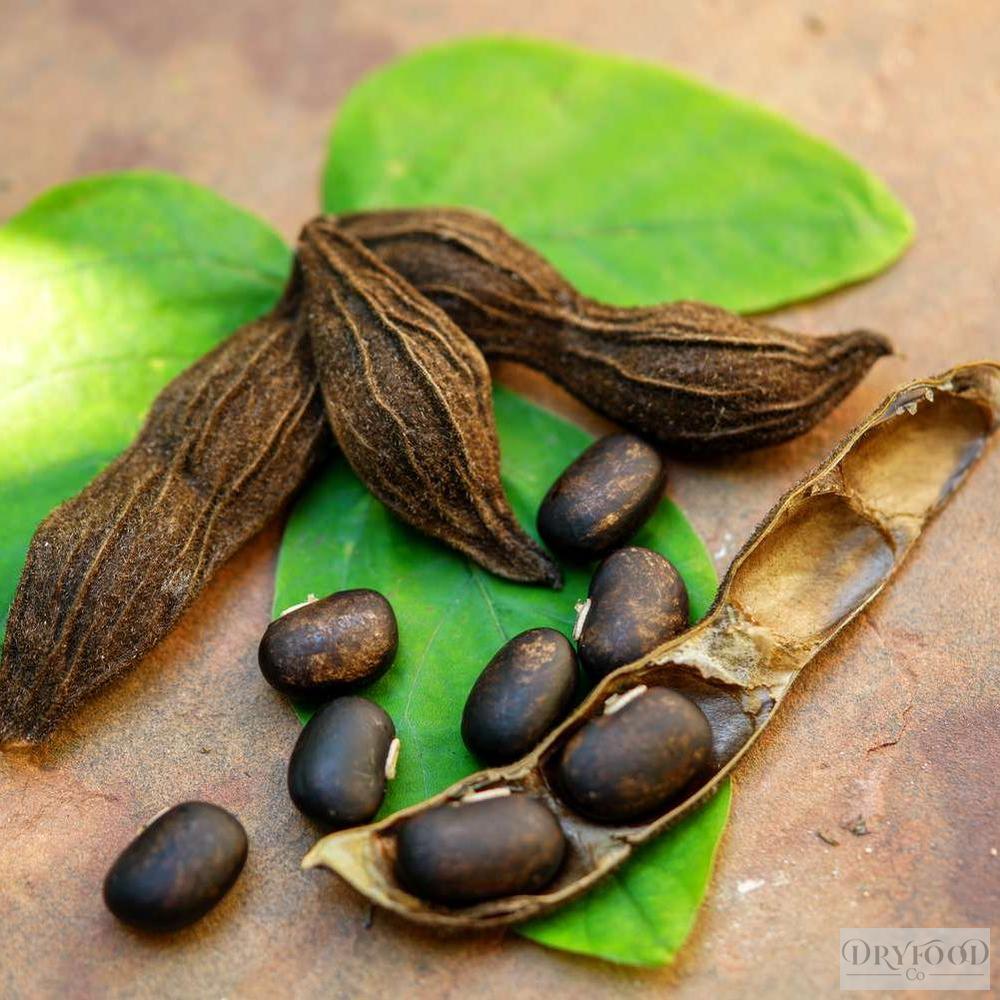 Wild-crafted Mucuna pruriens velvet bean powder, detoxified and third-party tested for purity and heavy-metal compliance