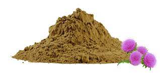 Sphaeranthus Indicus Extract Powder (Sphaeranthus indicus) showcasing warm herbaceous aroma for stress-support capsules, gummies and instant lattes, caffeine-free, vegan and rapidly dispersible in hot or cold liquids