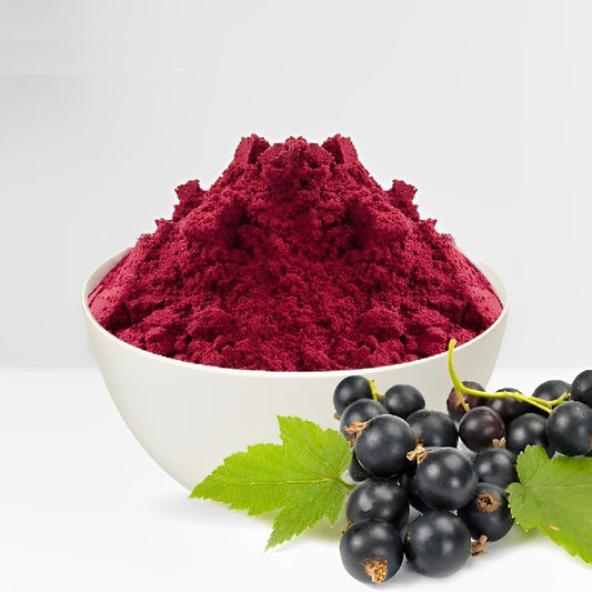 Black-Currant Powder – Ribes nigrum
