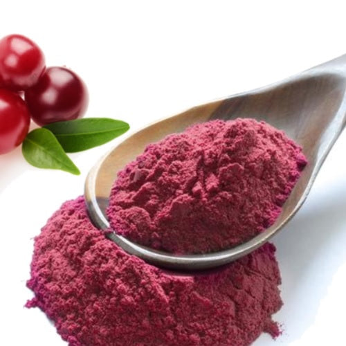 Cranberry Powder - Vaccinium macrocarpon