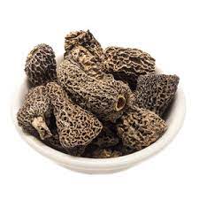 Dehydrierter Morchelpilz - Morchella esculenta