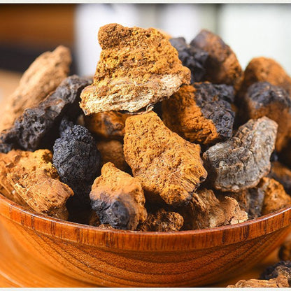 Dehydrated Chaga Mushroom - Inonotus obliquus