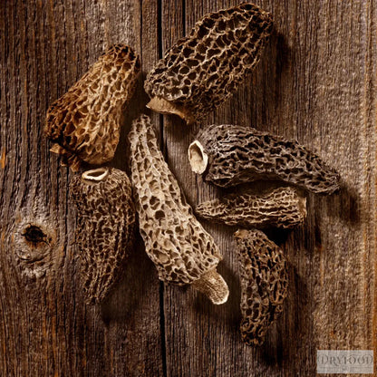 Dehydrated Morel Mushroom - Morchella esculenta
