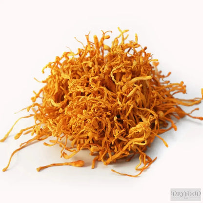 Dried Cordyceps Mushroom - Cordyceps militaris