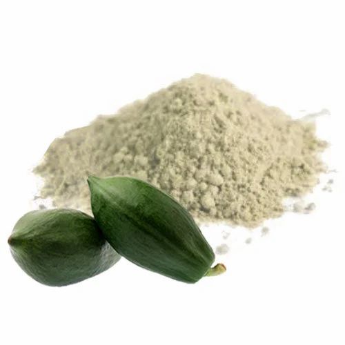 Papaya (Unripe/Green) Powder – Carica papaya