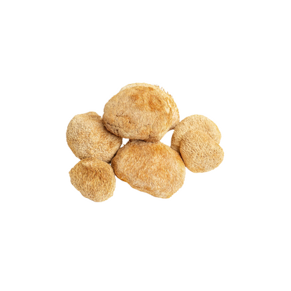 Dried Lions Mane Mushroom - Hericium erinaceus.