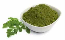 Dehydrated Moringa Powder - Moringa oleifera.
