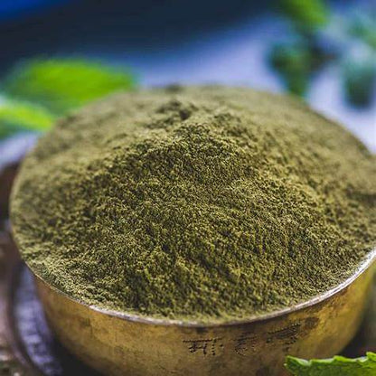 Mint Powder - Mentha spicata