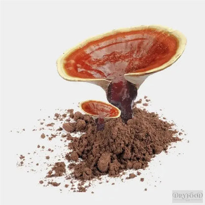 Deep green Ganoderma lucidum extract powder in a clear glass jar