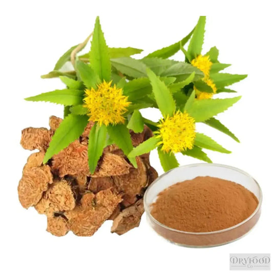 Rich green Rhodiola Rosea roots and extract capsules showcasing natural herbal supplement