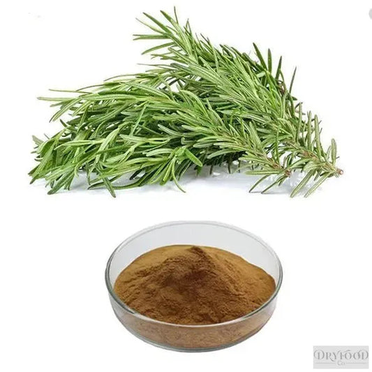 Fresh Rosmarinus Officinallis-Leaves Extract in a transparent glass bottle with fresh rosemary sprigs beside it
