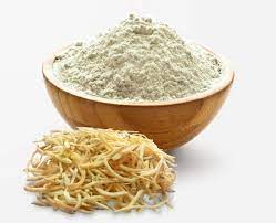 Cream-coloured Safed Musali Extract Powder with 40% saponins for sports-nutrition blends, gummies, and capsules