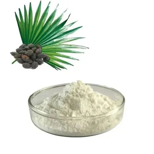 Saw Palmetto Extract Powder (Serenoa repens) with 45% free fatty acids and phytosterols for soft-gel fills, gummies, and instant drink mixes, non-GMO, solvent-free, and naturally caffeine-free