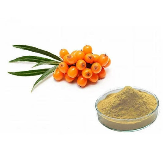 Organic Seabuckthorn Extract Powder (Hippophae rhamnoides) for natural health benefits