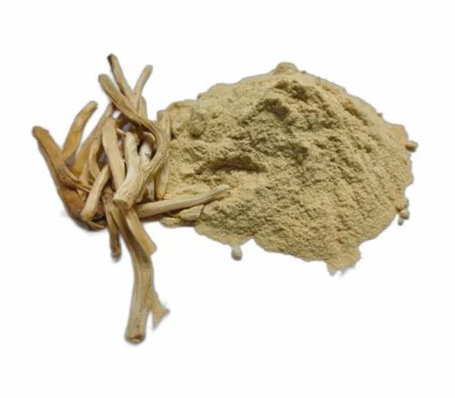 Shatavari Powder - Asparagus racemosus