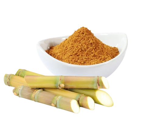 Sugarcane Powder – Saccharum officinarum