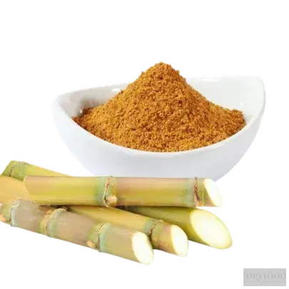 Sugarcane Powder – Saccharum officinarum.