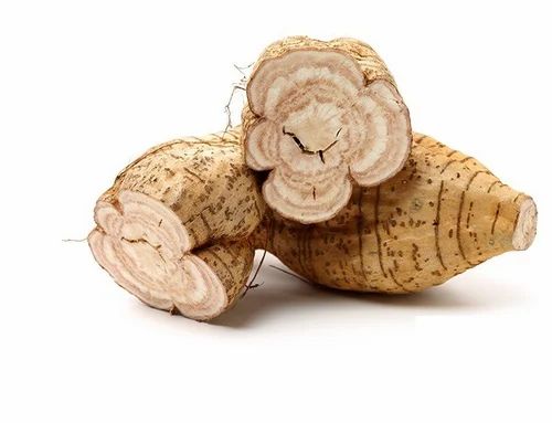 Indian Kudzu (Vidarikand) - Ayurvedic Bhukushmandi, a pale-beige tuber concentrate with mild vanilla-nut taste, perfect for traditional tonic applications, mixes smoothly into protein shakes, desserts or capsule lines without added sweeteners or dairy