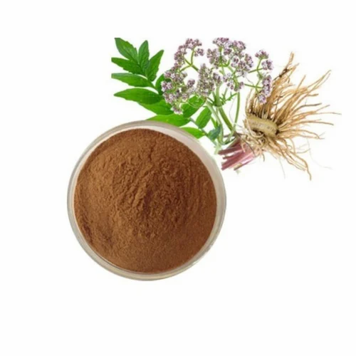 Valerian Root Extract Powder for bedtime drink mixes, gummies, and capsules